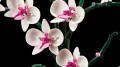 13cb292f095ae370312a98cd0e1cd58e.jpg