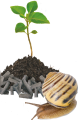 276a290a7d8f05a6a93aa94461259ab7.png