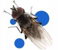 9f797be20b478f44b8c6930422d629ee.jpg