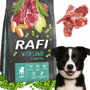 Sucha Karma Dla Psa RAFI JUNIOR z Jagnięciną 3 kg - 1 szt.