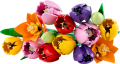 a82f99c40dfd0fbdbafe6b9788368f59.png
