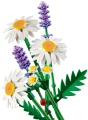 34075f2c99ef53bf77dc103bae191f2d.png