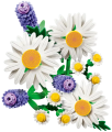 f2c333da916bc20a42576c174adc9cab.png
