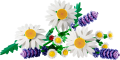 977db2f1dc9a26848bb9fd293ba34e05.png