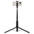 10_max.jpg