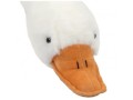 1909202466ebdffad660a.jpeg
