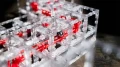 MagnetCubes.webp