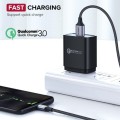 15869_7.jpg