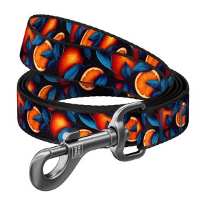 Smycz WAUDOG 122cm nylon wzór Pomarańcze