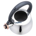CZAJNIK-STALOWY-Z-GWIZDKIEM-2-5L-KLAUSBERG-KB-7775_[37899]_1200.jpg