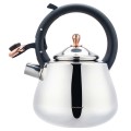 CZAJNIK-STALOWY-Z-GWIZDKIEM-2-5L-KLAUSBERG-KB-7775_[37900]_1200.jpg