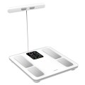 ANALITYCZNA-WAGA-LAZIENKOWA-SMART-IOS-ANDROID-KLAUSBERG-KB-7856_[37999]_1200.jpg