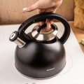 CZAJNIK-STALOWY-Z-GWIZDKIEM-2-5L-KLAUSBERG-KB-7910_[45510]_1200.jpg