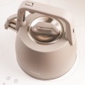 CZAJNIK-STALOWY-Z-GWIZDKIEM-2-5L-KLAUSBERG-KB-7915_[45654]_1200.jpg