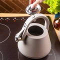 CZAJNIK-STALOWY-Z-GWIZDKIEM-2-5L-KLAUSBERG-KB-7950-BEZOWY_[49994]_1200.jpg