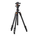 i-want-23.jpg