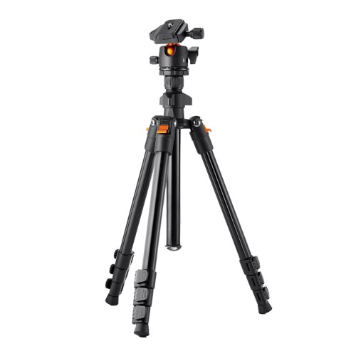 i-want-23.jpg