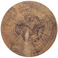 pol_pl_Podkladka-na-stol-korkowa-okragla-WOODEN-38-cm-9384_1.jpg