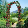 pol_pl_Pergola-ogrodowa-metalowa-145x235-cm-13996_10.jpg