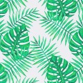 pol_pl_Cerata-plamoodporna-liscie-180x130-cm-15574_4.jpg