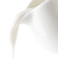 pol_pl_Mlecznik-porcelanowy-bialy-MONA-260-ml-14353_5.jpg