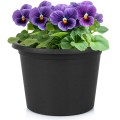 pol_pl_Doniczka-ogrodowa-plastikowa-czarna-okragla-20-cm-16798_1.jpg