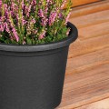 pol_pl_Doniczka-ogrodowa-plastikowa-czarna-okragla-20-cm-16798_4.jpg