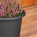 pol_pl_Doniczka-ogrodowa-plastikowa-czarna-okragla-23-cm-16799_4.jpg