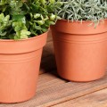 pol_pl_Doniczka-ogrodowa-plastikowa-okragla-15-cm-3-szt-16805_4.jpg