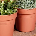 pol_pl_Doniczka-ogrodowa-plastikowa-okragla-17-cm-3-szt-16806_4.jpg