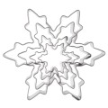 pol_pl_Wykrawacze-do-ciastek-stalowe-platki-sniegu-4-szt-18008_1.jpg