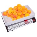 pol_pl_Waga-kuchenna-13-kg-1576_4.jpg