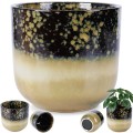 pol_pl_Doniczka-porcelanowa-17-5-cm-14593_6.jpg