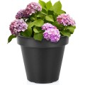 pol_pl_Doniczka-ogrodowa-plastikowa-czarna-okragla-29-cm-16792_1.jpg