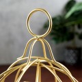 pol_pl_Lampion-na-swieczke-metalowy-zloty-25-cm-12686_4.jpg