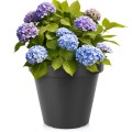 pol_pl_Doniczka-ogrodowa-plastikowa-czarna-okragla-39-cm-16793_1.jpg