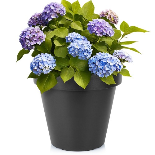 pol_pl_Doniczka-ogrodowa-plastikowa-czarna-okragla-39-cm-16793_1.jpg