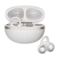 53232_2.jpg