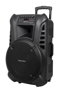 Aktywna kolumna głośnikowa Kruger&Matz KM 1715