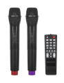 kolumna-aktywna-z-2-mikrofonami-bezprzewodowymi-sd-bluetooth-usb-12-40w-74a0147537264a7fa5a3c765e54b95a7-fdfa89fd.png