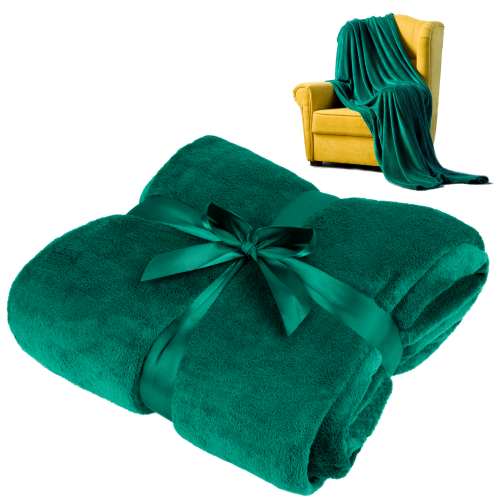 koc-polarowy-200x220-cm-teesa-zielony-c378971b32a44622b539c40faf82f576-cab1d47f.png