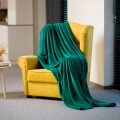 koc-polarowy-200x220-cm-teesa-zielony-3b07fc7ae8164d8b9e167fd396b41405-54038b16.jpg