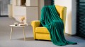 koc-polarowy-150x200-cm-teesa-zielony-a6b1d95ea93a4c53990790904cf86956-e7c2a2b4.jpg