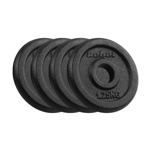obciazenie-zeliwne-zestaw-4x1-25kg-otwor-31mm-talerz-klasyczny-rebel-active-ceb4d4140be647bf94f4de24010caa77-dc71a10e.png