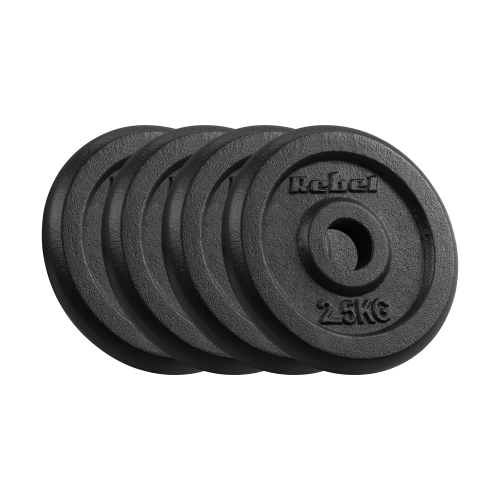 obciazenie-zeliwne-zestaw-4x2-5kg-otwor-31mm-talerz-klasyczny-rebel-active-1183262c8e9c43a08ce45514f336ad04-144f932b.png
