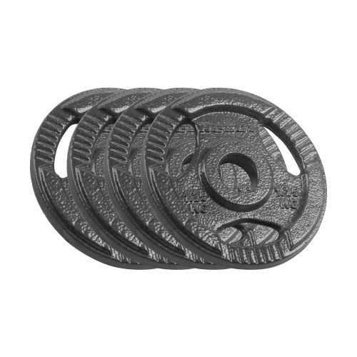 obciazenie-zeliwne-zestaw-4x1-25kg-otwor-31mm-talerz-z-uchwytami-rebel-active-b1b33e2d53d34b45a5346f1af117f2b9-fbd4a519.png