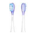 glowki-do-szczoteczki-sonicznej-teesa-sonic-elite-tsa8082-w-srednie-e632f68f9ba74c59a38034254b08e0c1-db4eaea6.png