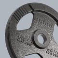 obciazenie-zeliwne-olimpijskie-25kg-otwor-51mm-talerz-z-uchwytami-rebel-active-7c922ebc4d9a4891888459ced400eed2-dbec4616.jpg