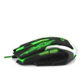 egm405_esperanza_mysz_cyborg_2.jpg