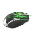 egm405_esperanza_mysz_cyborg_3.jpg